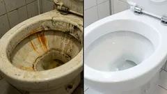 Come pulire il WC a casa: i migliori prodotti e i consigli degli esperti